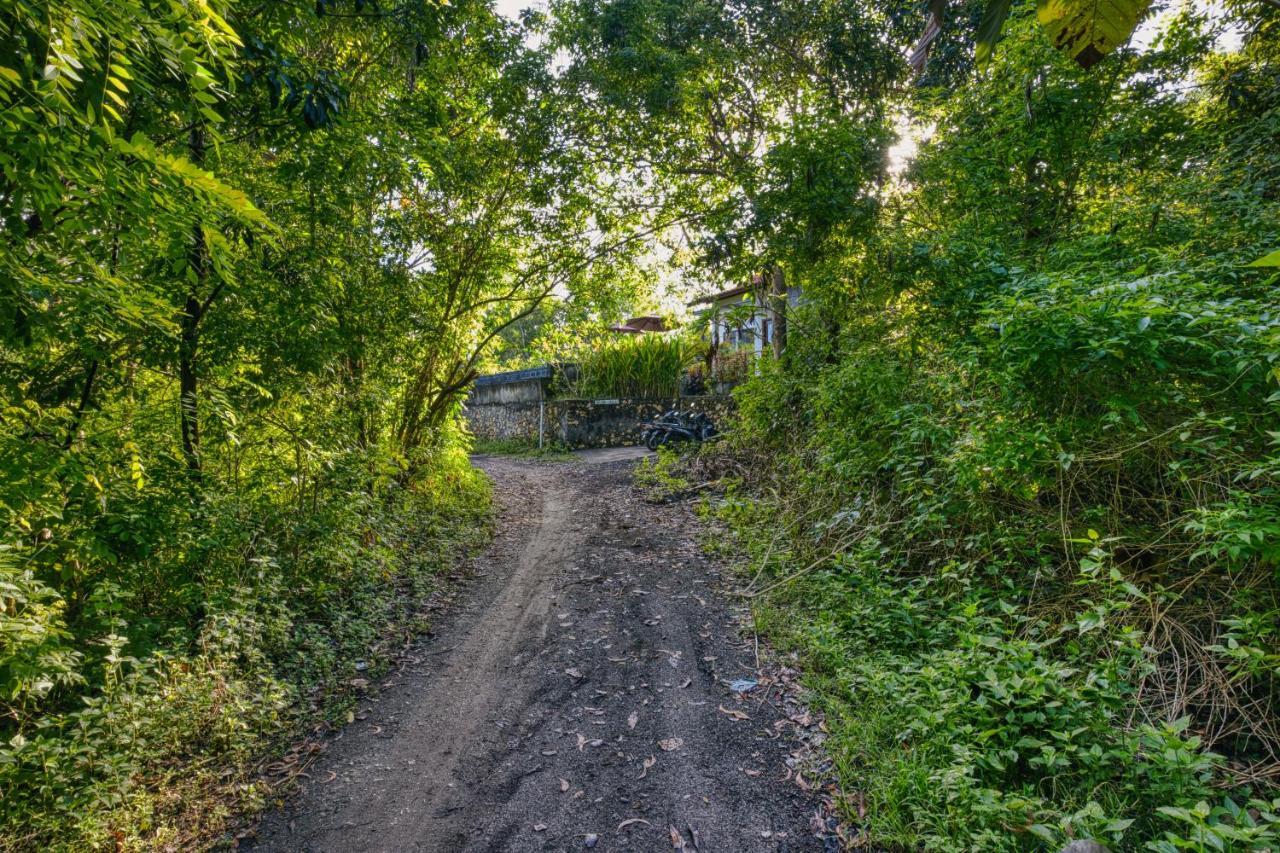 Le Green Village Toyapakeh Ngoại thất bức ảnh
